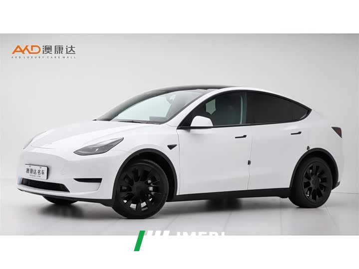 Tesla Model Y Rear-Wheel Drive