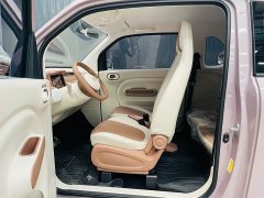 FAW Besturn Xiaoma 222km Colorful Edition - ფოტო 19