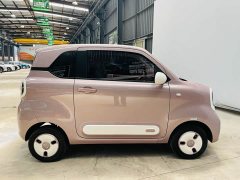FAW Besturn Xiaoma 222km Colorful Edition - ფოტო 8