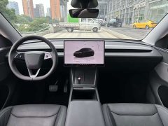 Tesla Model Y Rear-Wheel Drive - ფოტო 12