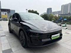 Tesla Model Y Rear-Wheel Drive - ფოტო 3