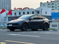 Tesla Model Y Rear-Wheel Drive - ფოტო 1