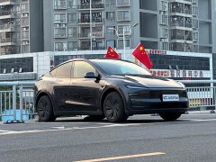 Tesla Model Y Rear-Wheel Drive - ფოტო 3