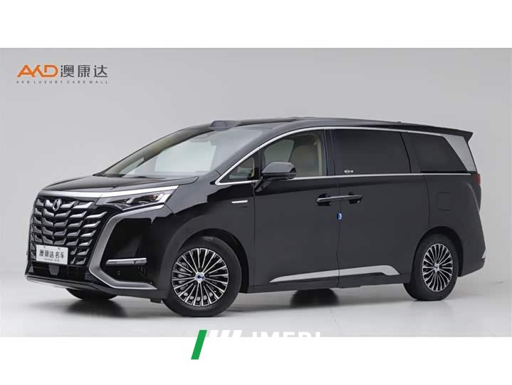 Denza D9 DM-i Smart Drive 1020 Four-Wheel Drive Flagship