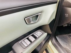 Wuling Binguo PLUS 510km Flagship Four-Seater - ფოტო 15