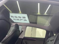 Tesla Model Y Rear-Wheel Drive - ფოტო 13