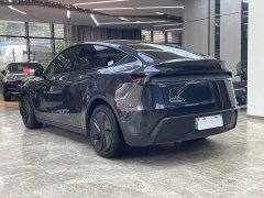 Tesla Model Y Rear-Wheel Drive - ფოტო 5