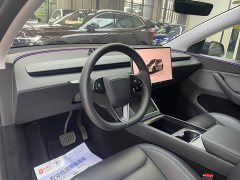 Tesla Model Y Rear-Wheel Drive - ფოტო 9