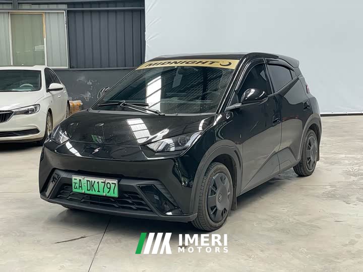 BYD Seagull Glory Edition 305km Vitality Version - ავტომობილი ჩინეთიდან