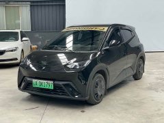 BYD Seagull Glory Edition 305km Vitality Version - ფოტო 1