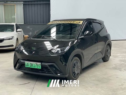 2024 BYD Seagull Glory Edition 305km Vitality Version - ავტომობილი ჩინეთიდან