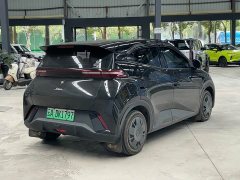 BYD Seagull Glory Edition 305km Vitality Version - ფოტო 4
