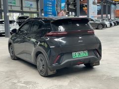 BYD Seagull Glory Edition 305km Vitality Version - ფოტო 6