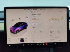 Tesla Model Y 2022 Long Range All-Wheel Drive - ფოტო 14