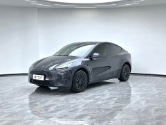 Tesla Model Y Long Range All-Wheel Drive - ფოტო 1