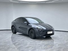 Tesla Model Y Long Range All-Wheel Drive - ფოტო 7