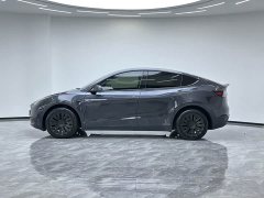 Tesla Model Y Long Range All-Wheel Drive - ფოტო 8