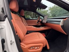 Nio Lerado L60 2024 60kWh AWD - ფოტო 13