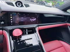 Porsche 2024 Panamera 2.9T - ფოტო 8