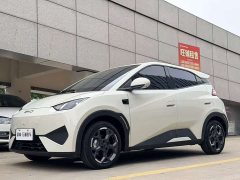 BYD Seagull 2025 Smart Driving Edition 305km Freedom Edition - ფოტო 1