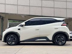 BYD Seagull 2025 Smart Driving Edition 305km Freedom Edition - ფოტო 3