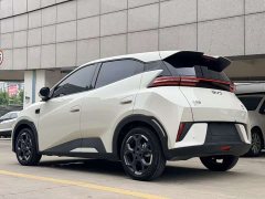 BYD Seagull 2025 Smart Driving Edition 305km Freedom Edition - ფოტო 4