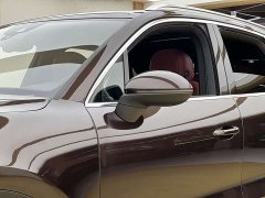 Porsche Cayenne 3.0T - ფოტო 6
