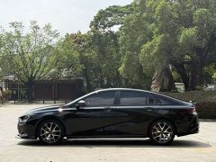 Trumpchi Leopard 270T DCT J15 - ფოტო 13