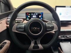 BYD Seagull 305km Vitality Edition - ფოტო 15