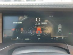 Tank 300 Off-Road Edition 2.0T Challenger - ფოტო 14