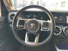 Tank 300 Off-Road Edition 2.0T Challenger - ფოტო 15