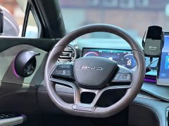 BYD Frigate 07 2023 DM-i 205KM Premium - ფოტო 15