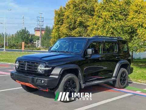 2021 Tank 300 Off-Road Edition 2.0T Challenger - ავტომობილი ჩინეთიდან
