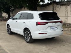 AITO Wenjie M7 2022 1.5T AWD Luxury - ფოტო 13