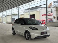 Wuling Binguo 2023 333km Lingxi Connected Plus - ფოტო 3