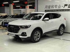 Haval H6 2021 National Trend 1.5T Automatic Champion Edition - ფოტო 1