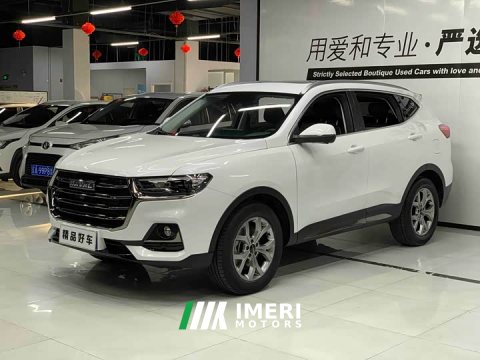 2022 Haval H6 2021 National Trend 1.5T Automatic Champion Edition - ავტომობილი ჩინეთიდან