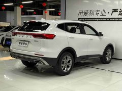 Haval H6 2021 National Trend 1.5T Automatic Champion Edition - ფოტო 6