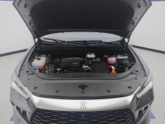 BYD Song Pro New Energy DM-i 71KM Glory Edition Pilot - ფოტო 10
