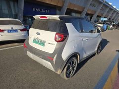 Chery Ant 150,000 Ant Fan Edition Ant Tide Version LFP Battery - ფოტო 4