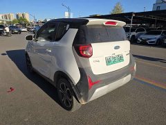 Chery Ant 150,000 Ant Fan Edition Ant Tide Version LFP Battery - ფოტო 5