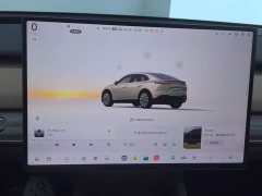 Nio Lerado L60 60kWh AWD - ფოტო 14