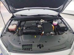 BYD Qin PLUS Glory Edition DM-i 55KM Leading - ფოტო 10