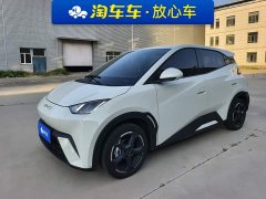 BYD Seagull 2023 Flying Edition - ფოტო 1