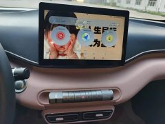 BYD Seagull 2023 Flying Edition - ფოტო 13