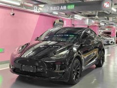 Tesla Model Y Long Range All-Wheel Drive - ფოტო 1
