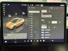 Tesla Model Y Long Range All-Wheel Drive - ფოტო 11