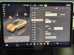 Tesla Model Y Long Range All-Wheel Drive - ფოტო 12