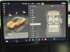 Tesla Model Y Long Range All-Wheel Drive - ფოტო 13