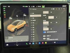 Tesla Model Y Long Range All-Wheel Drive - ფოტო 8